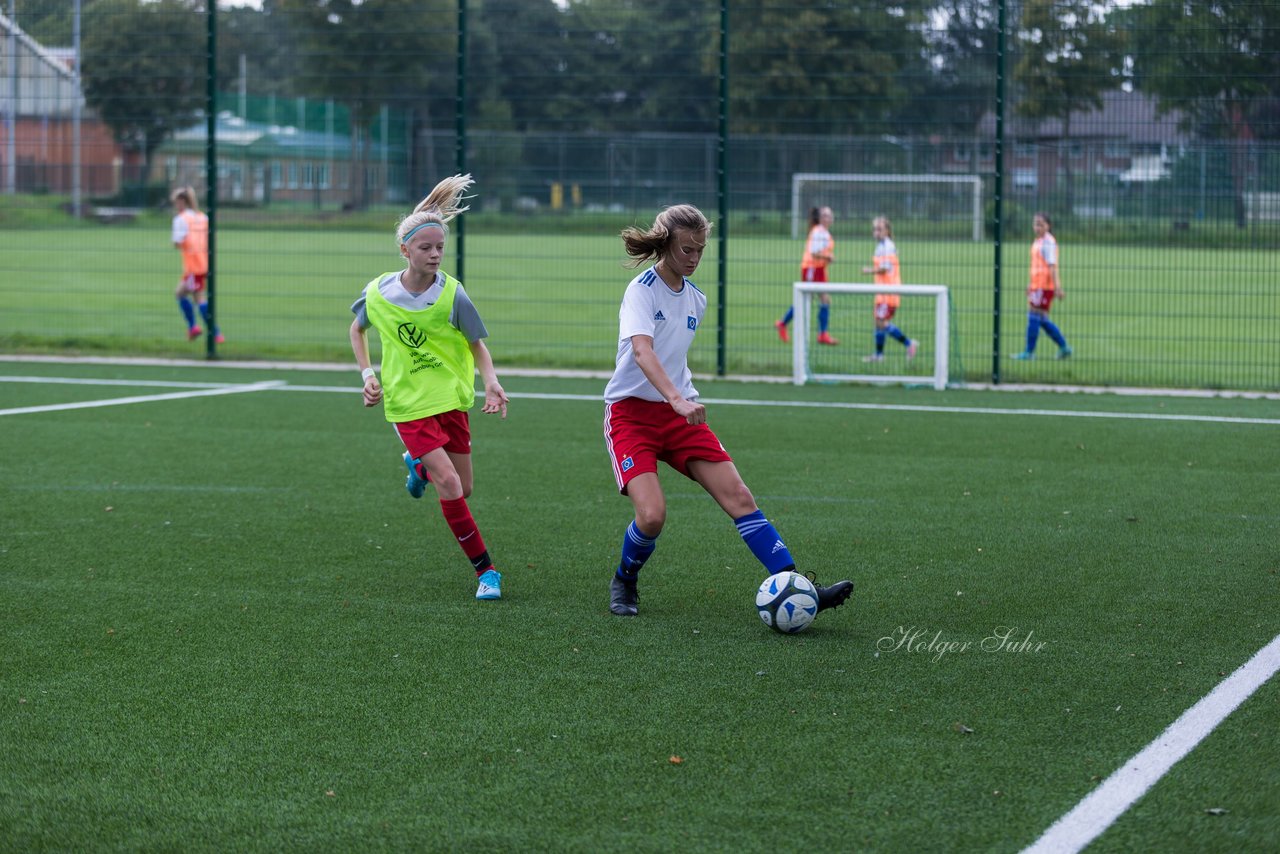 Bild 175 - C-Juniorinnen HSV - Walddoerfer : Ergebnis: 9:1